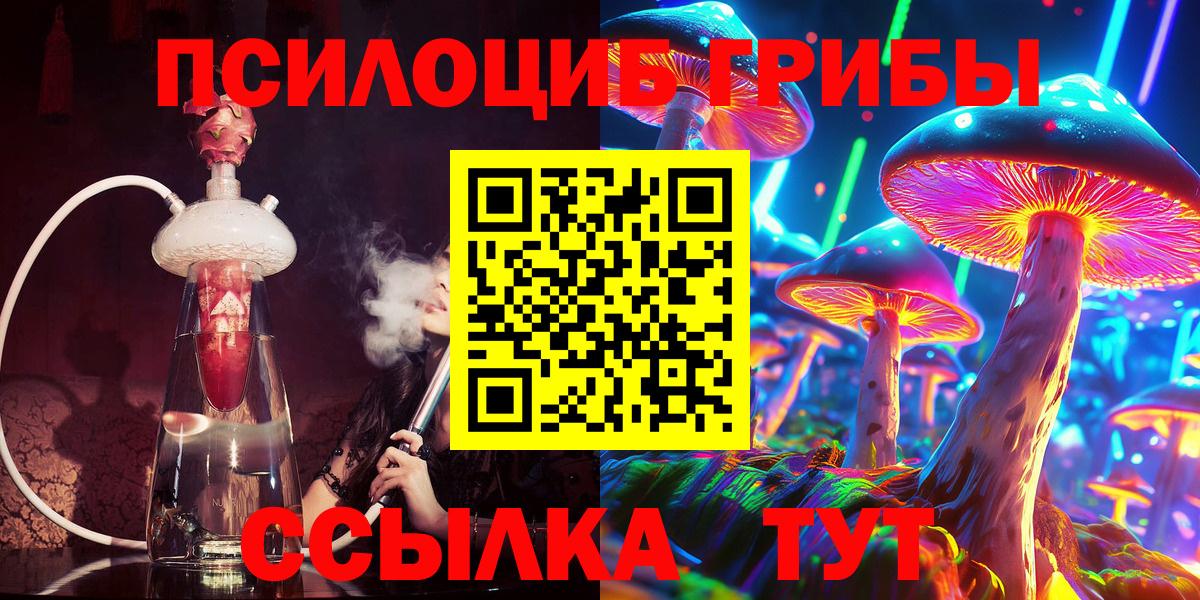 Галлюциногенные грибы Psilocybe  Вход с VPN  Губкинский 