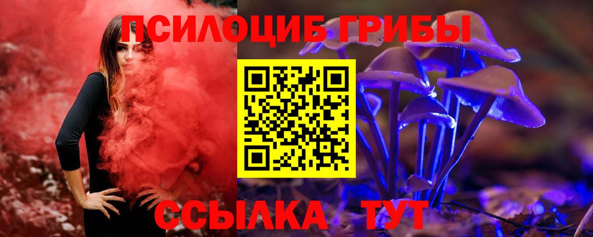 Псилоцибиновые грибы Psilocybine cubensis Губкинский