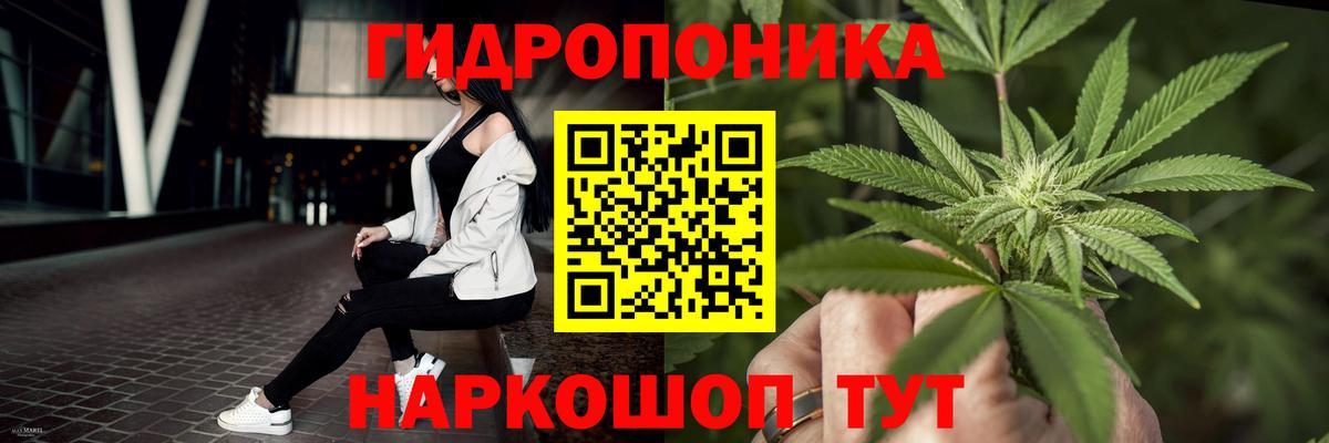 Бошки Шишки MAZAR Губкинский